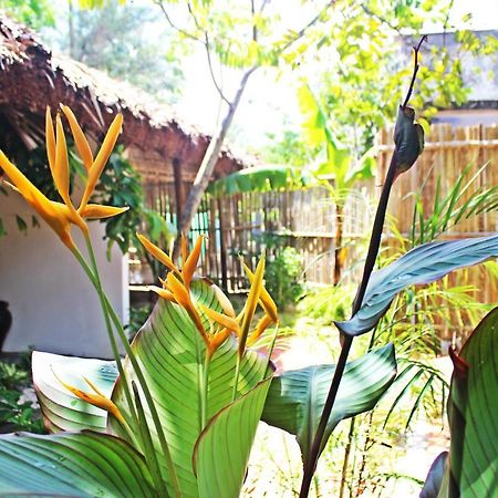 An Bang Purple Homestay Hoi An Bagian luar foto