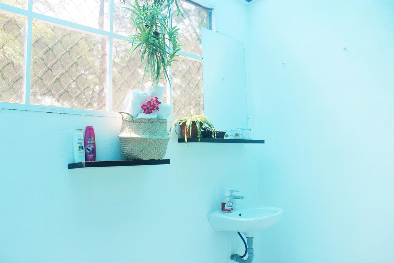 An Bang Purple Homestay Hoi An Bagian luar foto