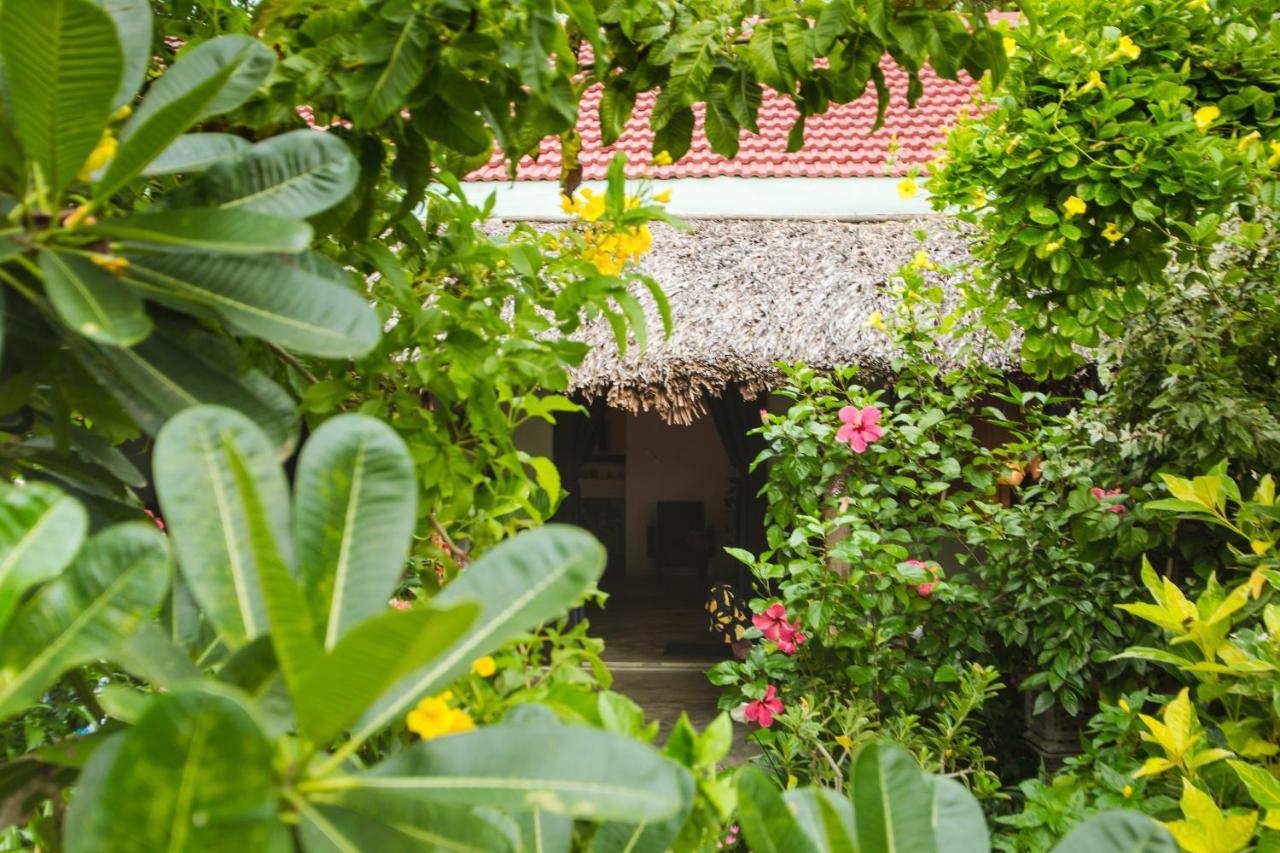 An Bang Purple Homestay Hoi An Bagian luar foto